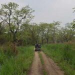 Jeep-safari-in-chitwan-national-park