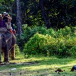 elephant-back-safari