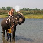 elephant-bathing